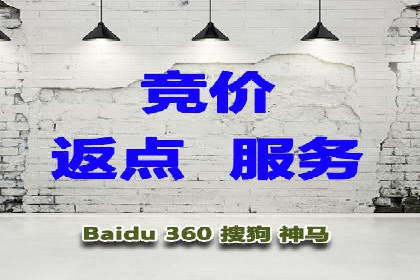 SEM优化师实战：从数据驱动优化广告投放